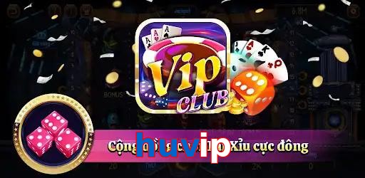 huvip